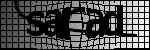 Text de identificat